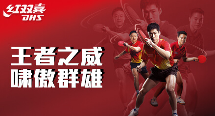 上海体育用品网  DHS红双喜品牌羽毛球拍