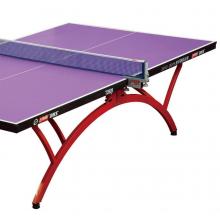 DHS/红双喜彩虹可折叠标准室内乒乓球台T2828乒乓球桌
